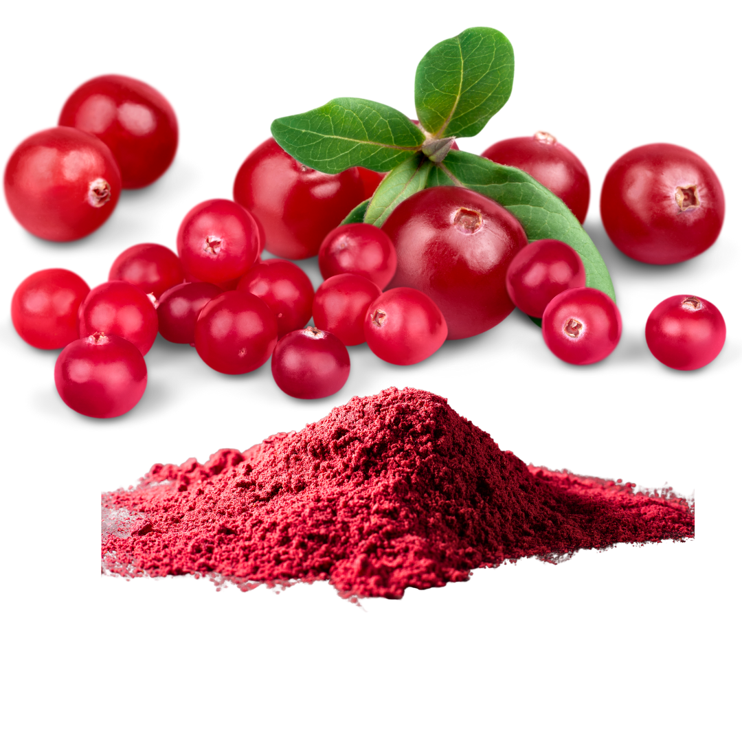 Fresh cranberries, source of Cranberry Extract